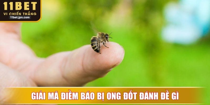 Các tình huống và ý nghĩa cụ thể của bị ong đốt đánh đề con gì?
