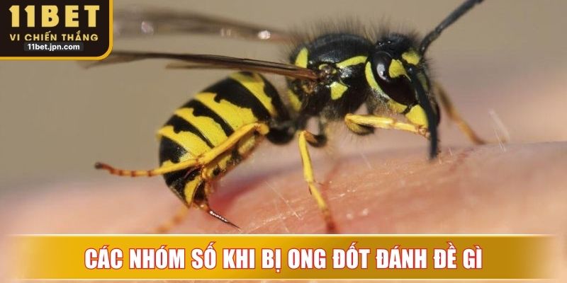 Tổng hợp các nhóm giúp bạn thắng tiền lớn