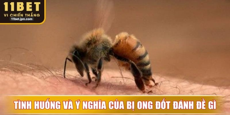 Các tình huống và ý nghĩa cụ thể của bị ong đốt đánh đề con gì?